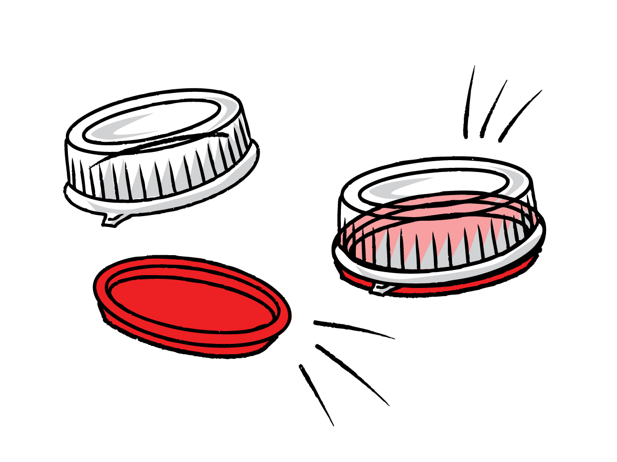 Trays and Lids